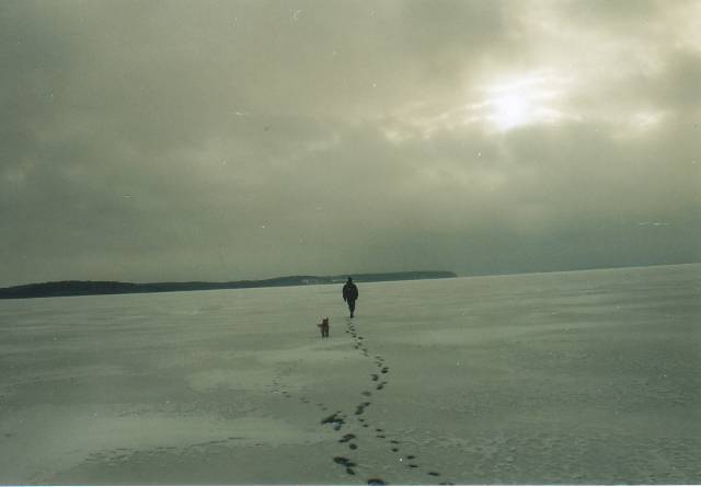 Frostbodden mit Hund