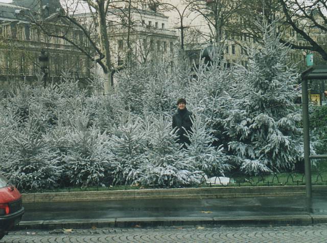 Paris in snow